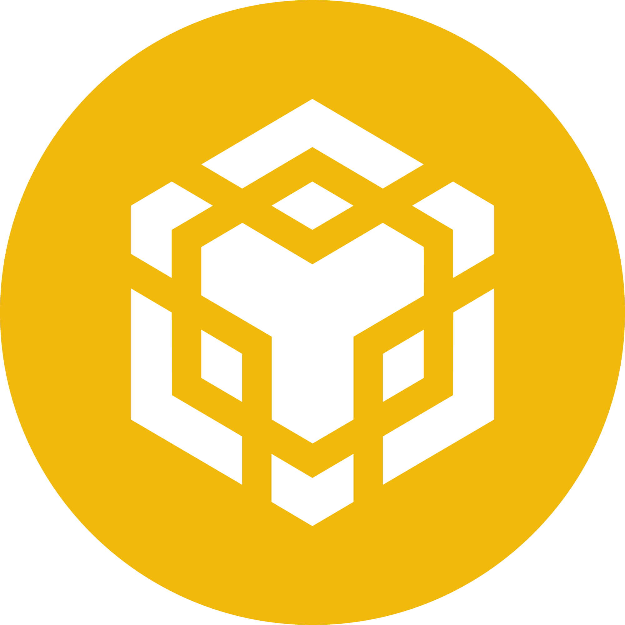 Binance Coin logo